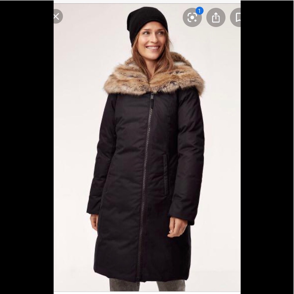 Babaton St Moritz Parka